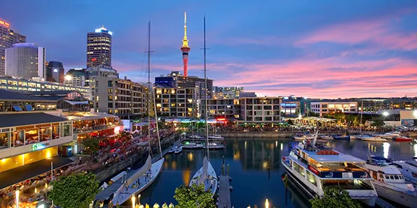 Как открыть бизнес в Новой Зеландии